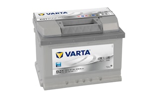 Batteri D21 Silver Dynamic